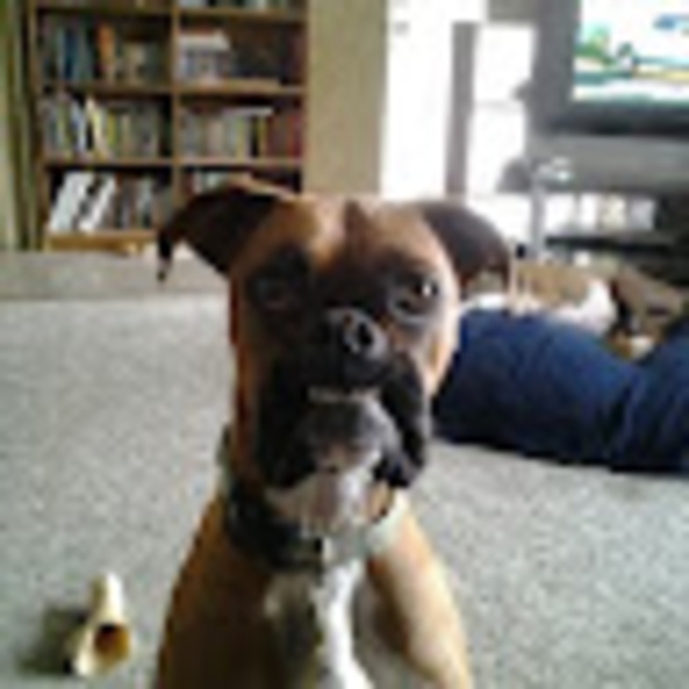 Meet your Posher, Ted